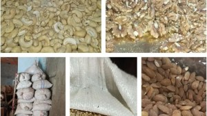هيئة السلامة الصحية : حجز  86 طنا من المنتجات الغذائية غير الصالحة للاستهلاك