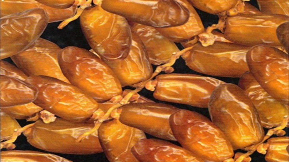 التمور التونسية