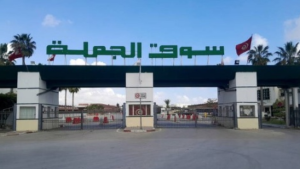 الشركة التونسية لأسواق الجملة تفتح مناظرة خارجية للانتداب