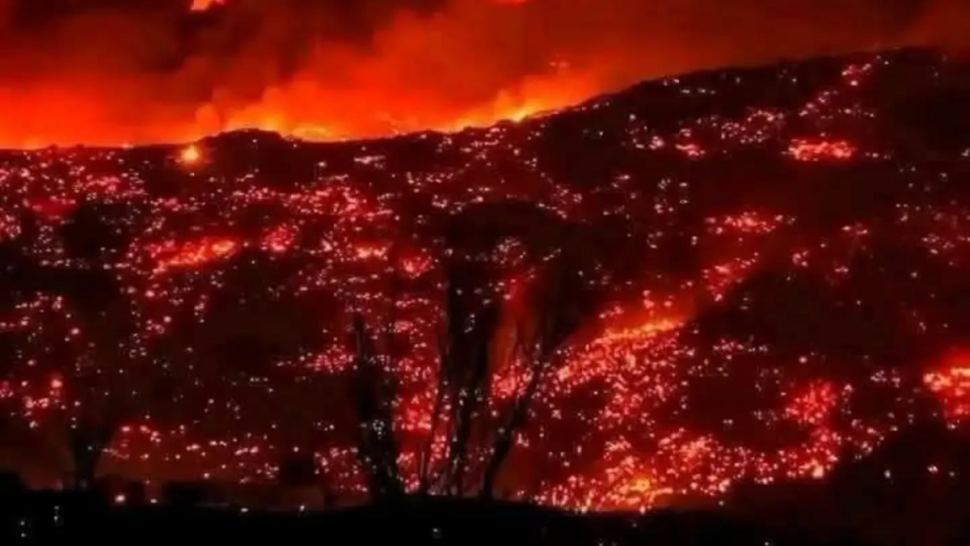 وزير الفلاحة يعاين جهود إخماد حرائق جبل برقو بسليانة