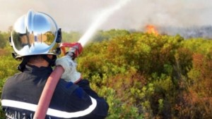 الحماية المدنية: 121 تدخلا لاطفاء الحرائق خلال الـ24 ساهعة الأخيرة