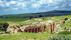 زغوان
