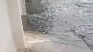 نائب بالمجلس الجهوي عن معتمدية سليمان : نطالب بتجديد شبكتي التطهير و تصريف الأمطار