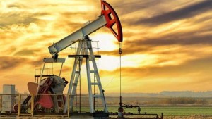 ارتفاع قيمة صادرات قطاع الطاقة ب45 بالمائة إلى موفى شهر جويلية 2026