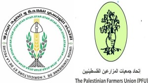 تونس فلسطين