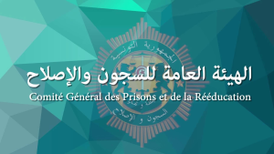 6aabc749535206aabc74953522.png