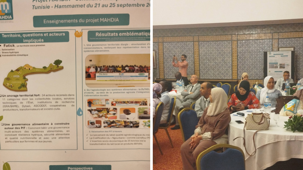 الحمامات: اختتام أشغال مشروع «MAHDIA» لدعم الفلاحة الإيكولوجية والتكيف مع ندرة المياه