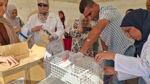 تلقيح حيوانات