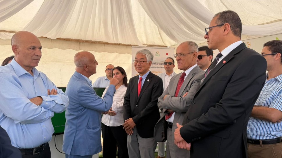 وزارة الطماطم