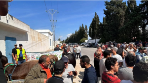 نظم عدد من أهالي مدينة منزل بوزلفة من ولاية نابل اليوم السبت 3 أكتوبر، وقفة احتجاجية شارك فيها عدد من الفلاحين، للتعبير عن رفضهم لإقامة مشروع مخصص لتربية يرقات الذباب الأسود وتحويلها إلى بروتينات موجهة للتصدير