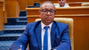 نائب: مشروع محطة انتاج الكهرباء بين تونس والجزائر بذرة عمل دبلوماسي برلماني