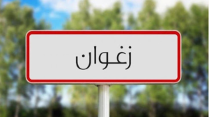 بكلفة تناهز 900 ألف دينار.. تهيئة وصيانة 3 مؤسسات للطفولة بزغوان