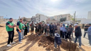 سوسة :   اطلاق مبادرة لغرس 200 شجرة 'جاكاراندا' بالحي الأولمبي