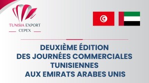 تونس الامارات