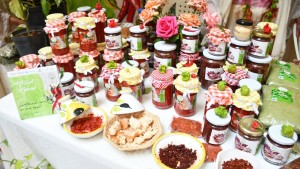مهرجان الهريسة
