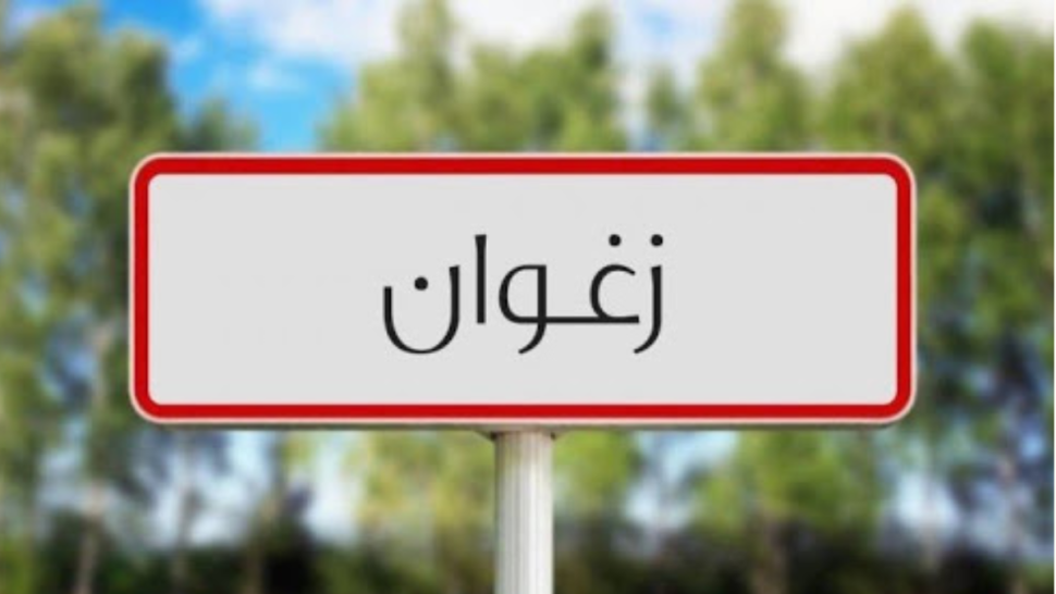 زغوان: 50 مليون دينار لتمويل مشاريع التنمية المندمجة بمختلف المعتمديات