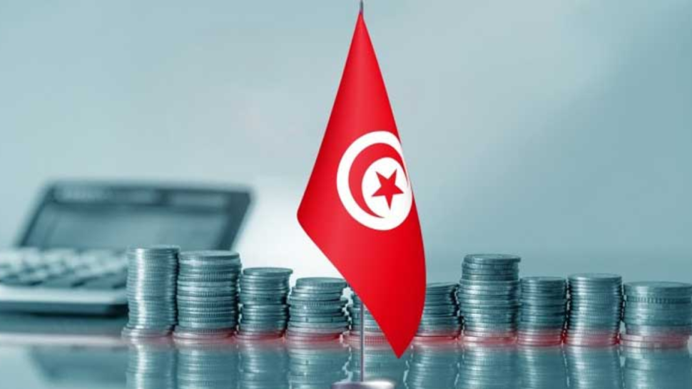 مشروع قانون المالية: زيادة بـ20 دينارا في معلوم السفرات إلى الخارج