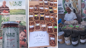 قصور الساف: مهرجان البذور الأصيلة يفتح ملف السيادة الغذائية ومقاومة التغيرات المناخية