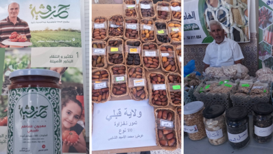 قصور الساف: مهرجان البذور الأصيلة يفتح ملف السيادة الغذائية ومقاومة التغيرات المناخية