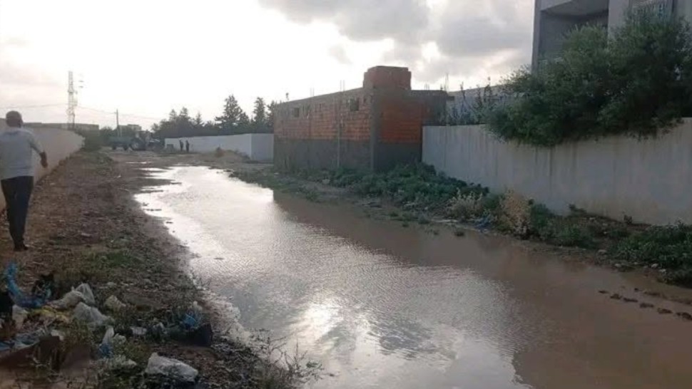زغوان