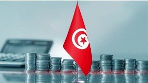 غدا : لجنتا المالية بالبرلمان تشرعان في النظر في  مشروع ميزانية الدولة