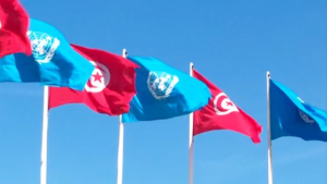يوم الأمم المتحدة: تونس تعبّر عن اعتزازها بشراكتها مع المنظمة الأممية