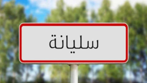 وزارة أملاك الدولة : إنجاز مسرح الهواء الطلق بسليانة يظل رهين حسم الصيغة القانونية لاستغلال العقار
