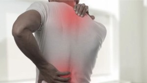 جمعية طب الشغل: الاعتلالات العظمية والعضلية من أكثر الأمراض المهنية انتشارا في القطاع الخاص